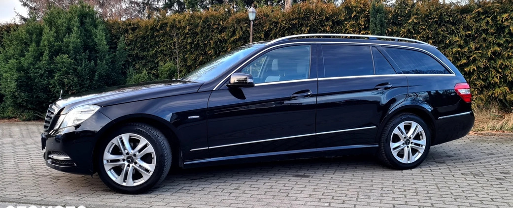 Mercedes-Benz Klasa E cena 45900 przebieg: 197000, rok produkcji 2010 z Andrychów małe 436